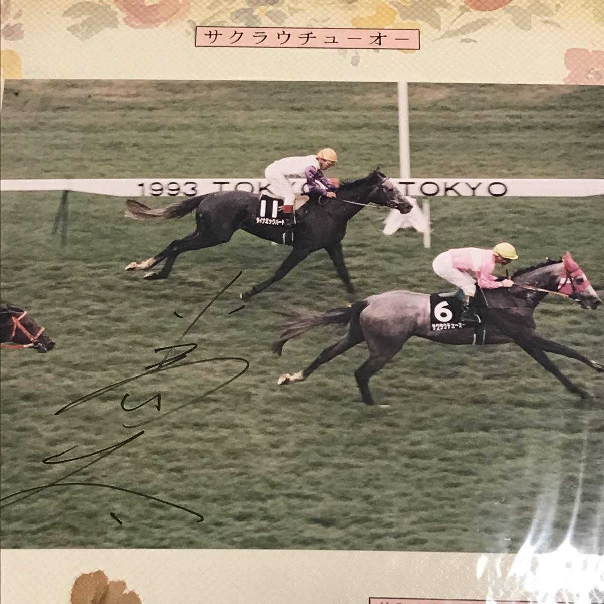 Yahoo!オークション - 石橋脩 騎手 直筆サイン入り 馬券