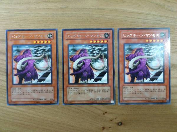 1枚のお値段です！ 旧アジア ビッグホーンマンモス 2025年最新】ビッグ