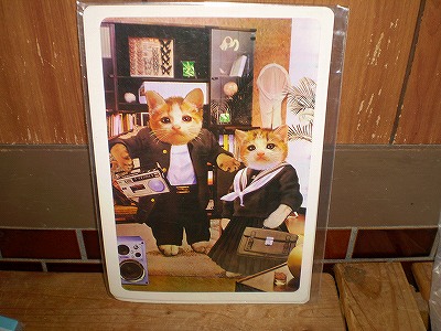 2026年最新】Yahoo!オークション -なめ猫 下敷きの中古品・新品・未