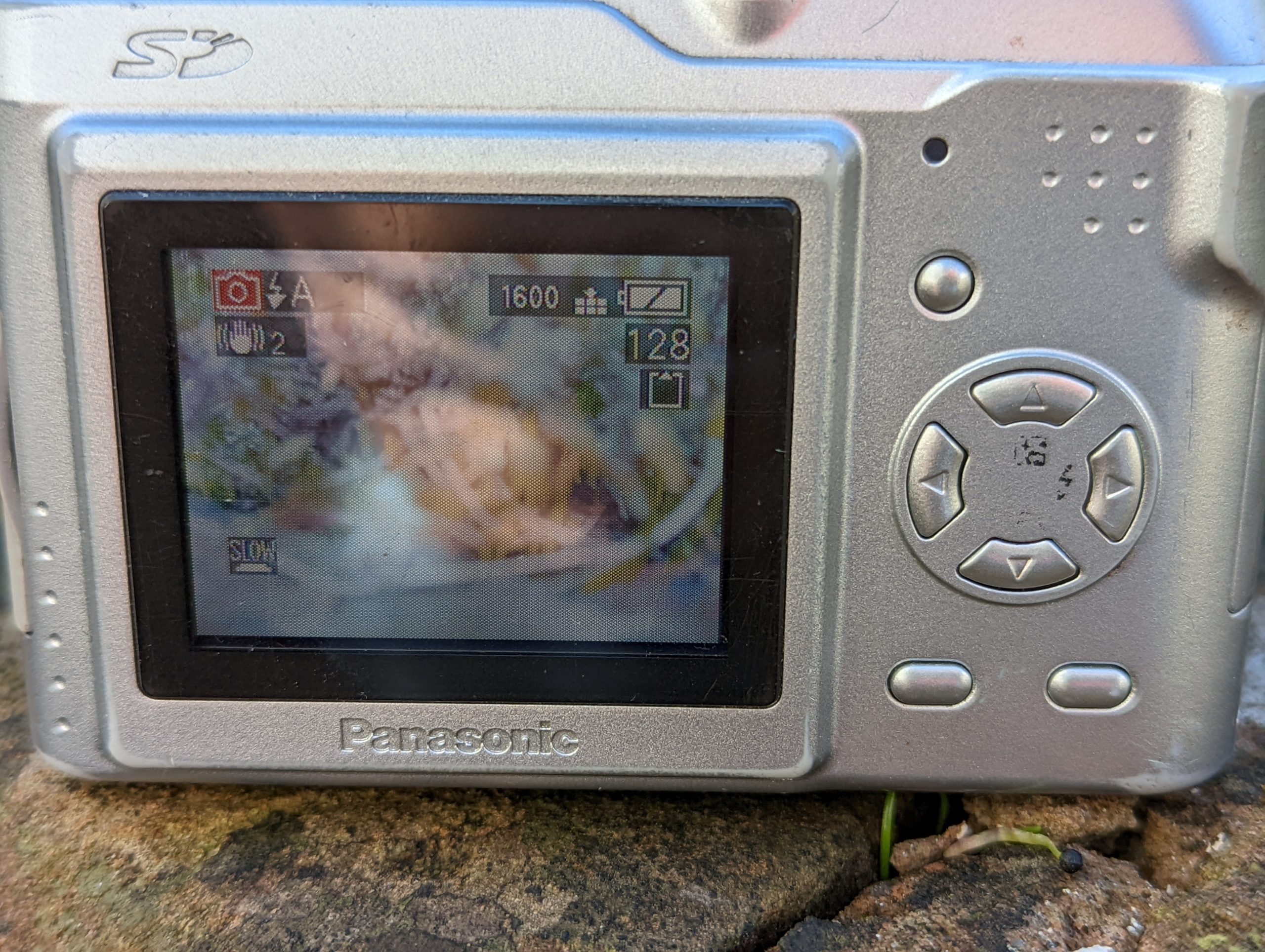 Budget Tour in the DMC - Panasonic Lumix DMC-LZ2 - Canny Cameras