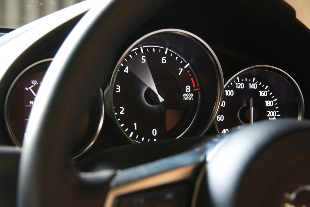 IMG_2204_390144b6-24d5-49bd-