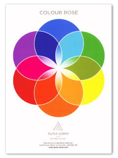 書籍／CD PL01 ポスター カラーローズ