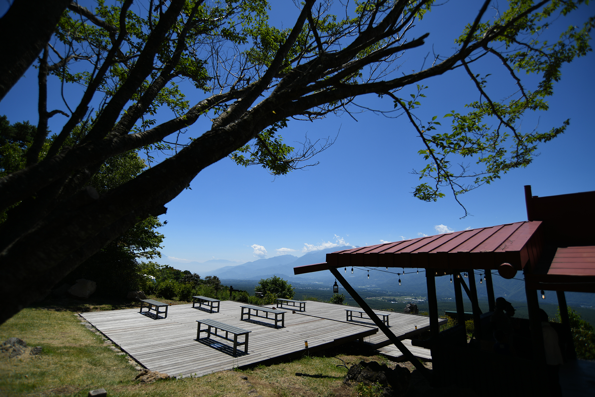 作例23枚】AI AF Zoom-Nikkor 24-85mm f/2.8-4｜18-35mm f/3.5-4.5D IF