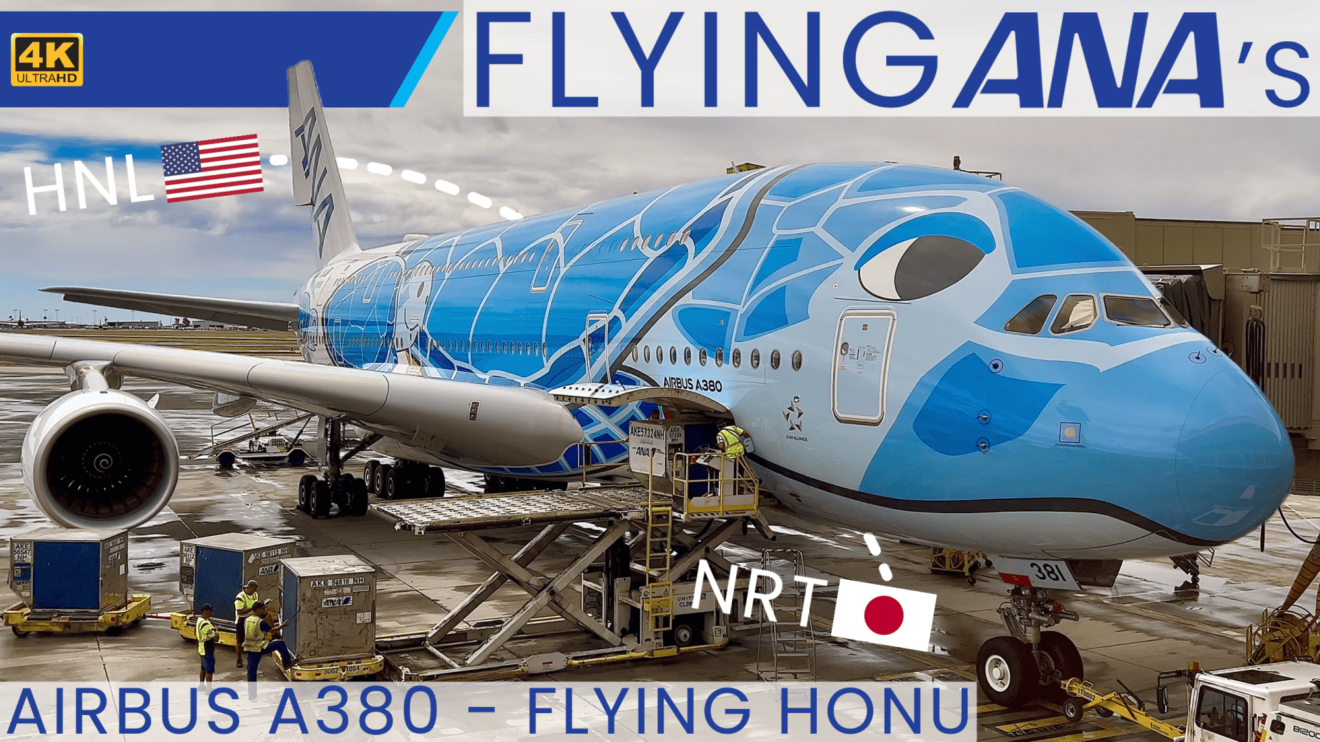 All Nippon Airways' Magnificent Airbus A380 'Flying Honu'