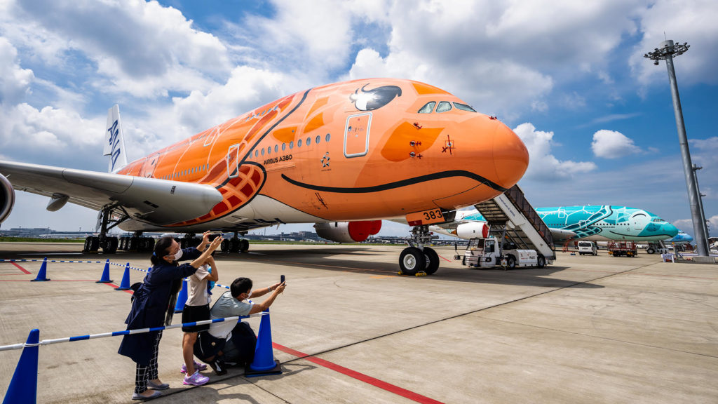 10/16 New…!!フライングホヌ／オレンジBig size1/150 10/16 New