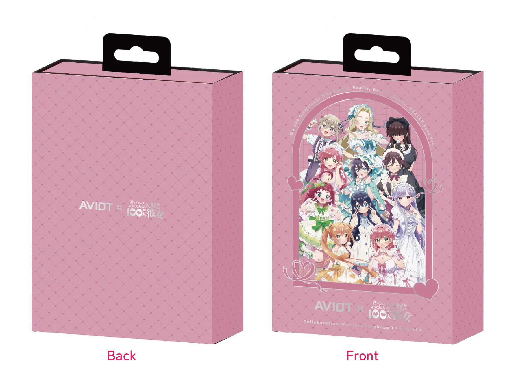 TE-V1R-100 製品情報｜AVIOT