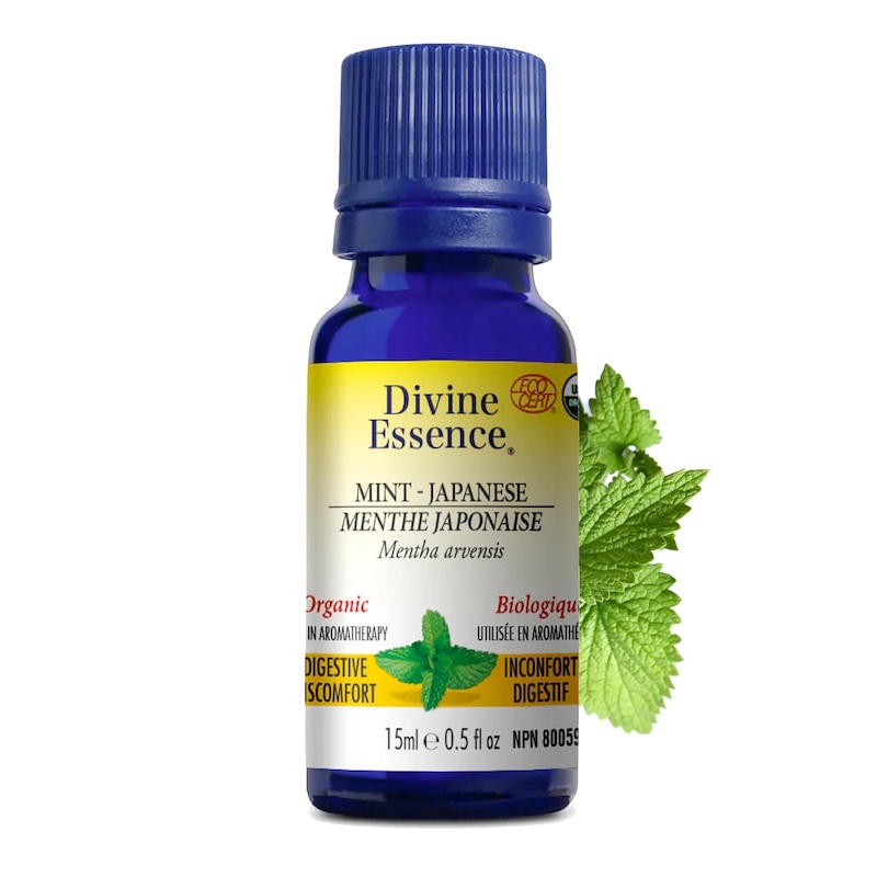 66407_huile_essentielle_menthe