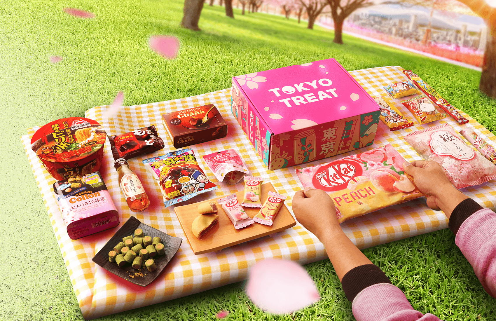 A Year of Boxes™ | TokyoTreat - Japanese Snack Subscription Box