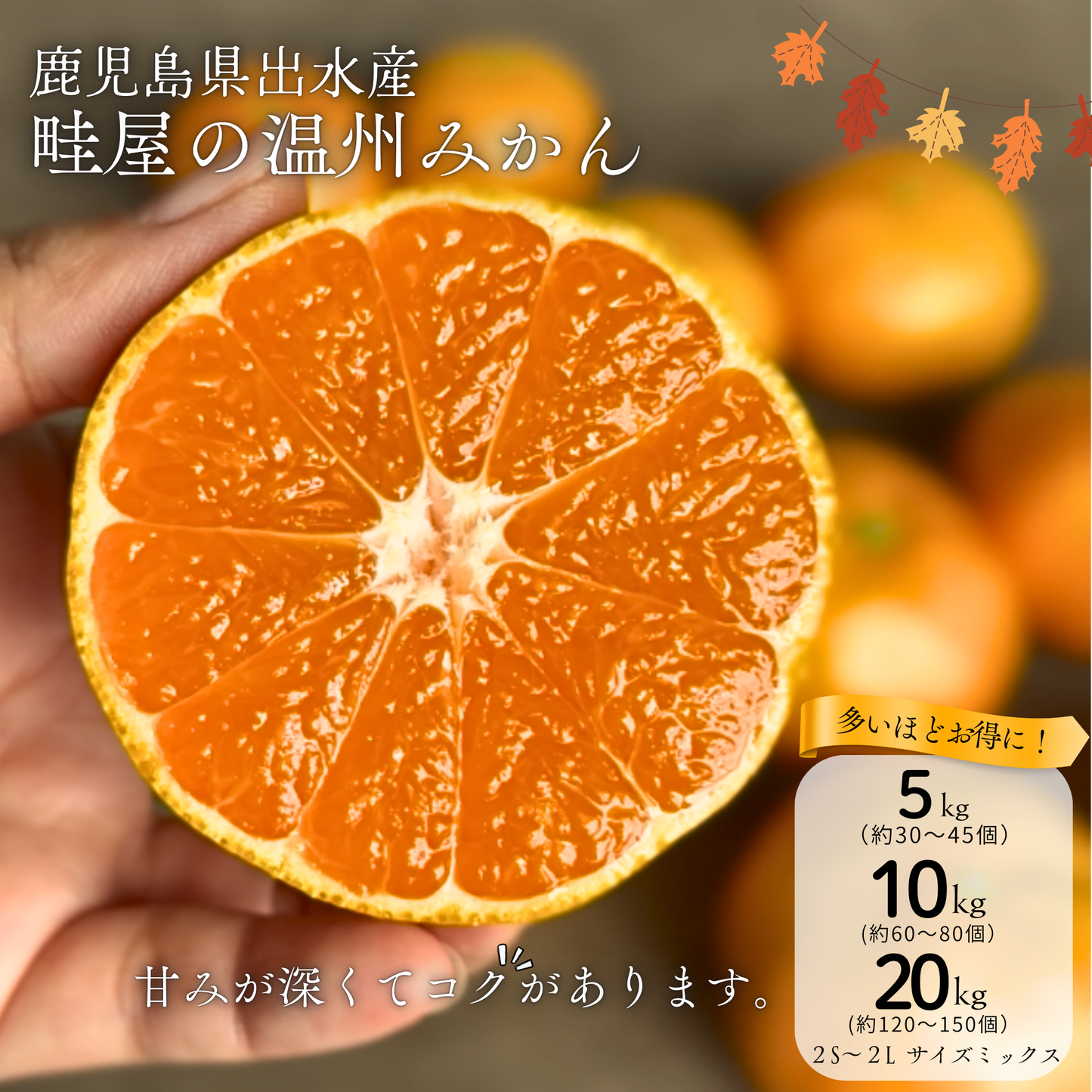 畦屋の温州みかん – 畦屋オンラインショップ