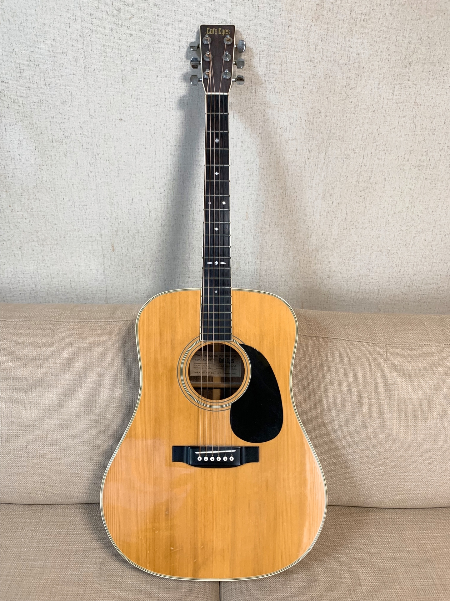 自分のギター紹介 CAT'S EYESのCE-300: あぜ丸のMusic&Life