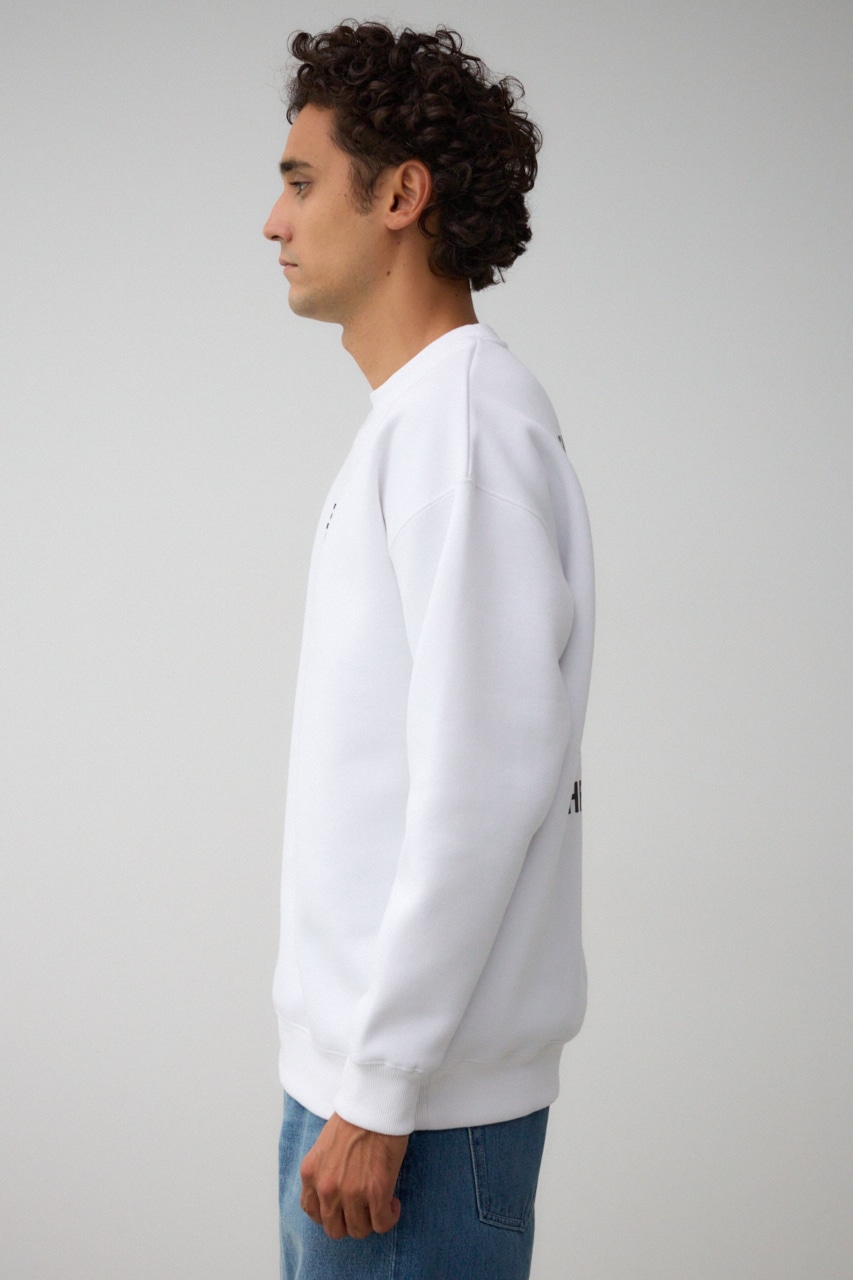 バックフォトプリントスウェット｜MEN｜251HAC90-379I｜AZUL BY MOUSSY