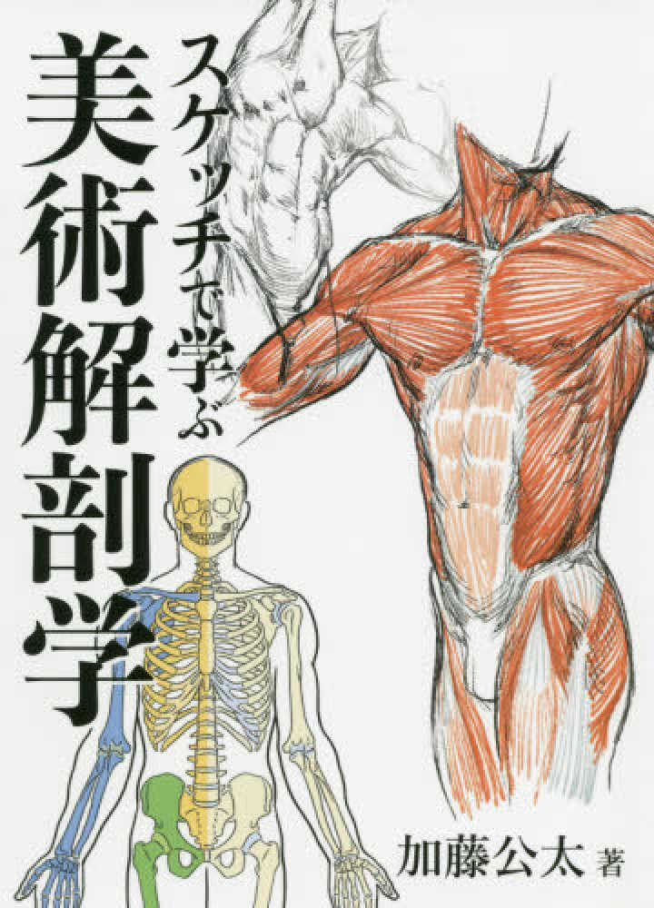 Books Kinokuniya: スケッチで学ぶ美術解剖学 / 加藤公太 (9784768314104)