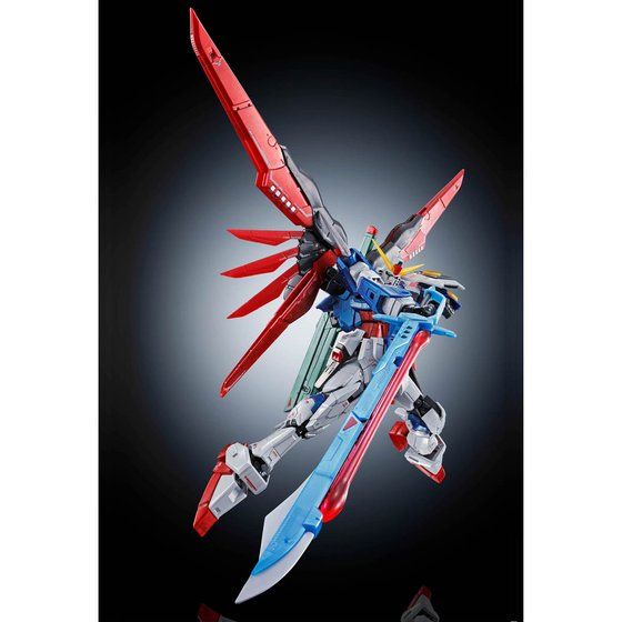 RG 1/144 デスティニーガンダム［チタニウムフィニッシュ］│株式