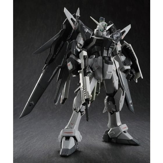 RG 1/144 デスティニーガンダム ディアクティブモード【再販