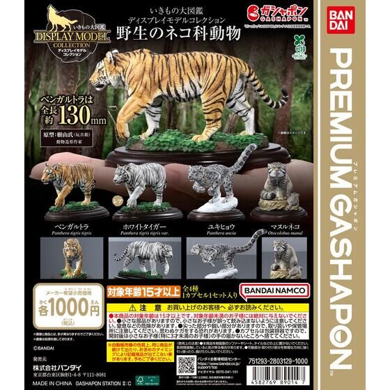 箱売】Gasha Portraits PREMIUM エヴァンゲリオン 鈴原サクラ