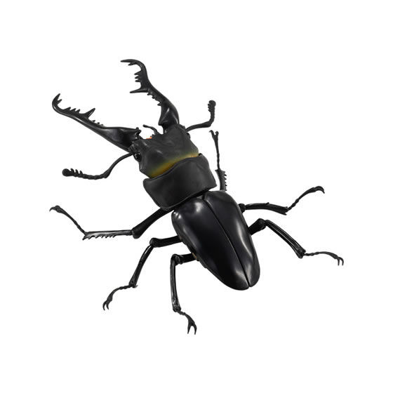 くわがた｜ガシャポンオフィシャルサイト