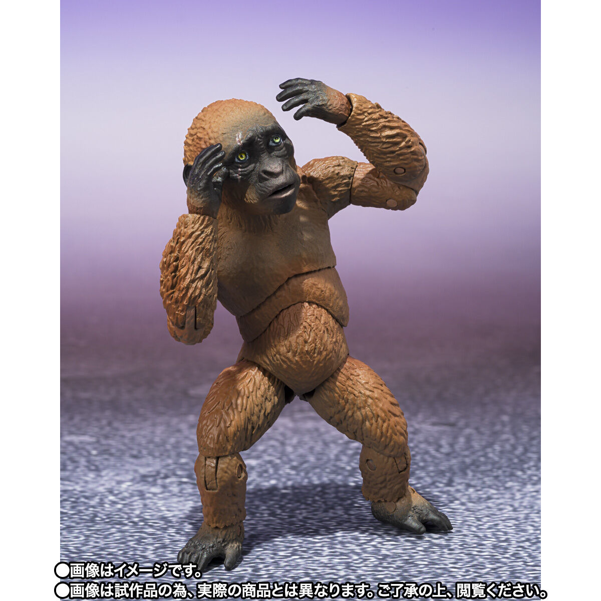 S.H.MonsterArts SUKO & MOTHRA (2024) FROM GODZILLA × KONG: THE NEW