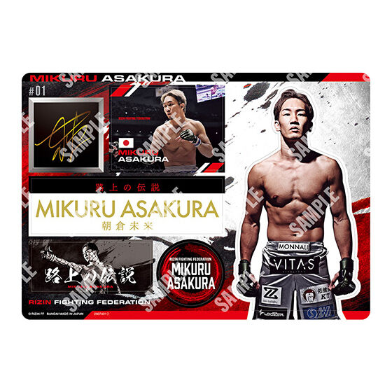 ジャンボカードダス/フラットガシャポン】RIZIN ジャンボシールダス