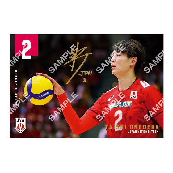 フラットガシャポン】バレーボール男子日本代表 ポストカード