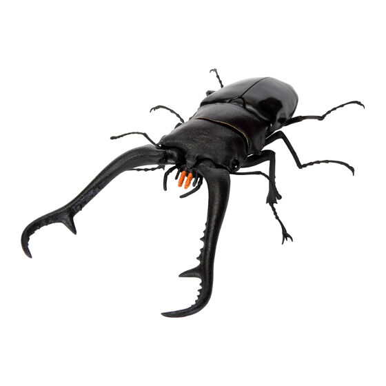 いきもの大図鑑 くわがた11｜ガシャポンオフィシャルサイト