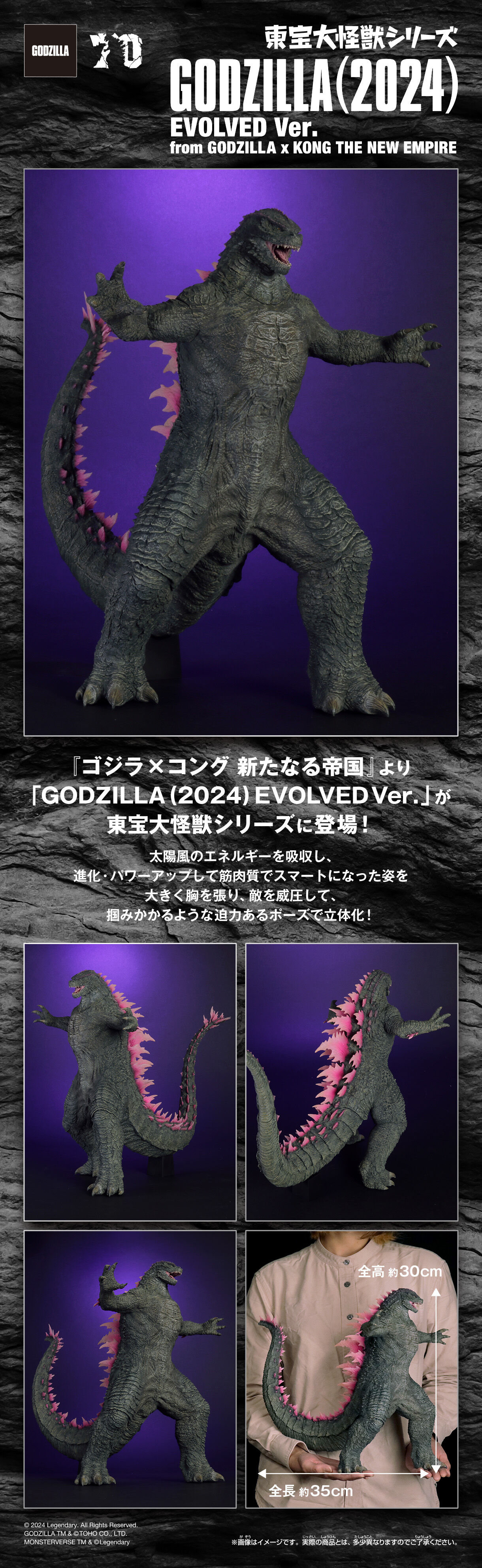 東宝大怪獣シリーズ GODZILLA(2024)EVOLVED Ver. | ゴジラシリーズ