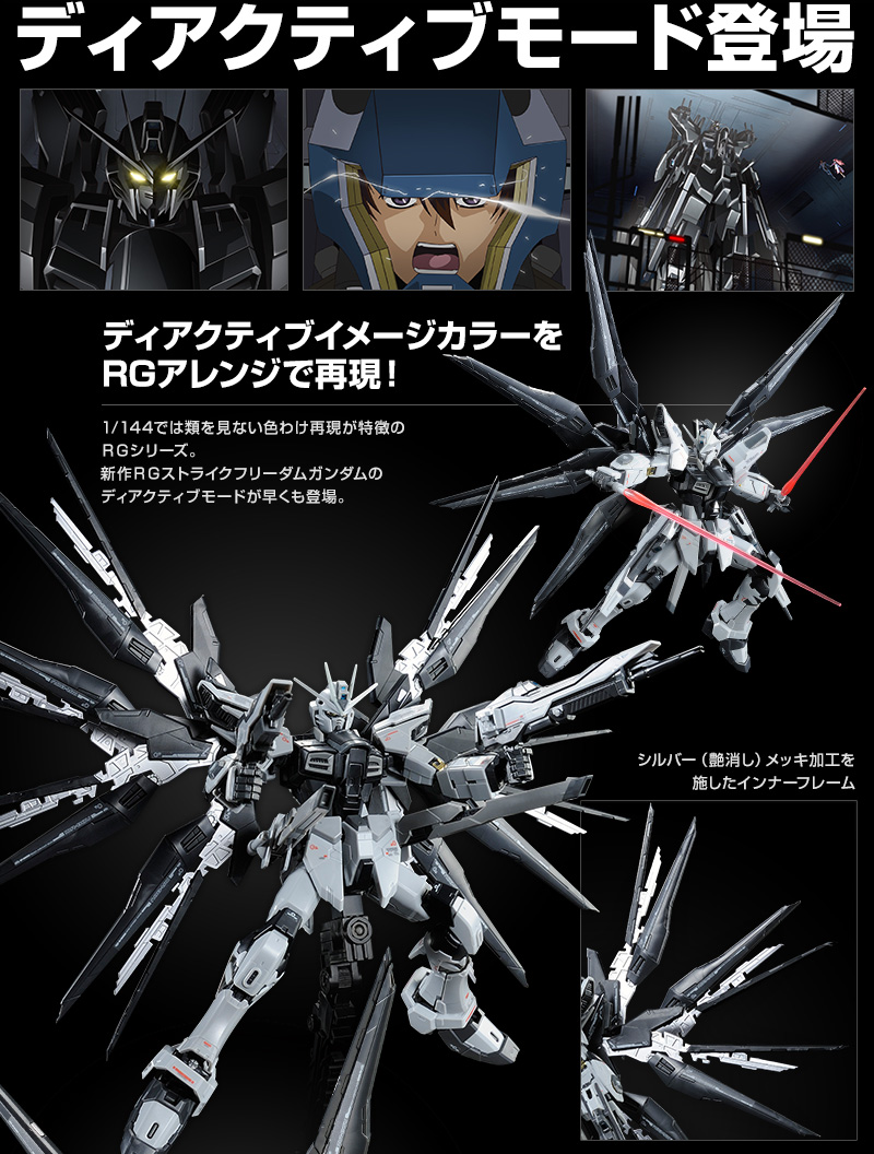 RG 1/144 ｽﾄﾗｲｸﾌﾘｰﾀﾞﾑｶﾞﾝﾀﾞﾑ ﾃﾞｨｱｸﾃｨﾌﾞﾓｰﾄﾞ｜プレミアムバンダイ