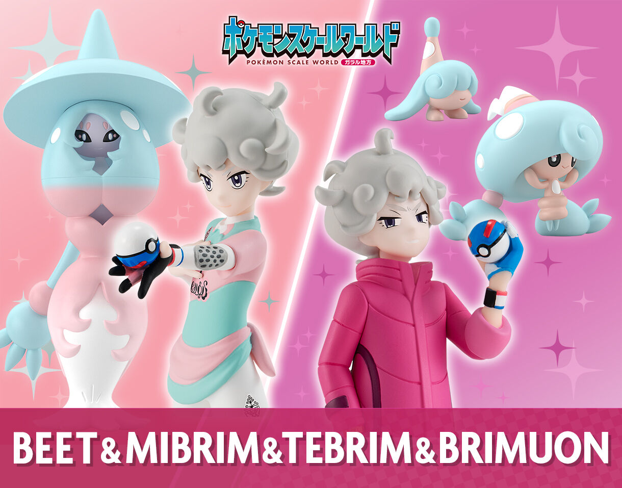 ポケモンスケールワールド ガラル地方 ビート＆ミブリム＆テブリム