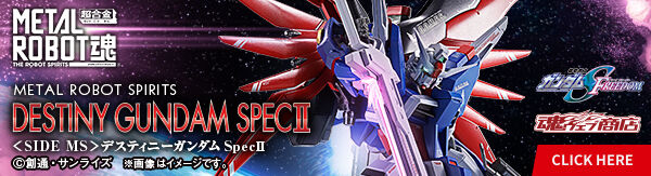 METAL ROBOT魂 ＜SIDE MS＞ デスティニーガンダムSpecII専用光の翼