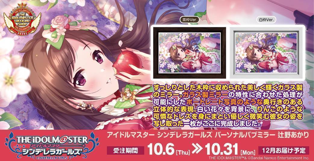 高級感ただようインテリア、「パーソナルパブミラー」シリーズに「辻野