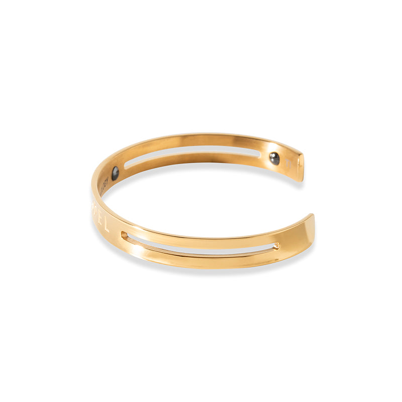 TITANIUM チタン Bangle Gold – BANDEL®︎｜公式オンラインストア