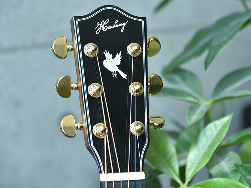 HOC-NORTHBIRD (Headway) まるやまたつや監修モデル アコースティック