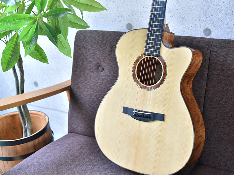 HOC-NORTHBIRD (Headway) まるやまたつや監修モデル アコースティック