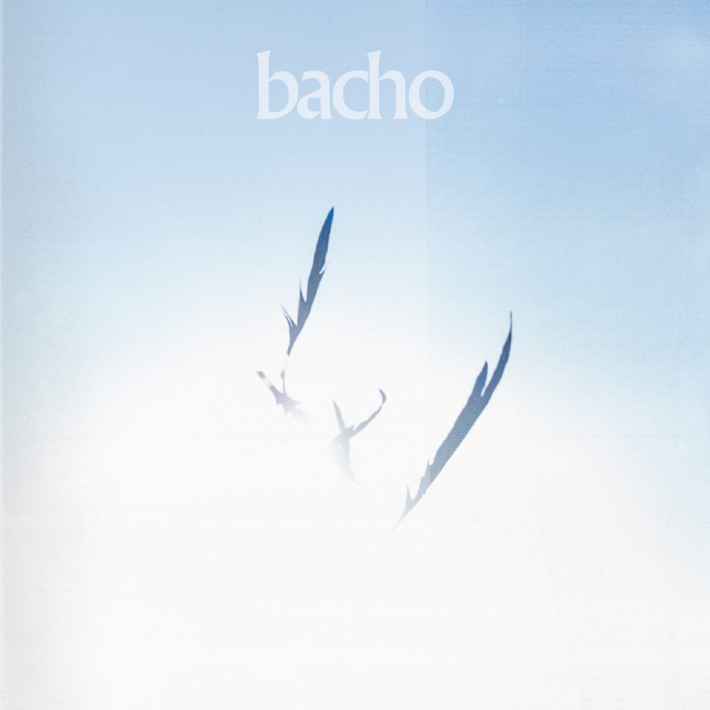 DISCOGRAPHY｜bacho Official Website