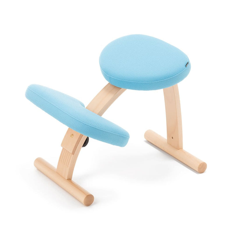 バランスイージー 通常フレーム バランスチェア イージー Amazon.co.jp