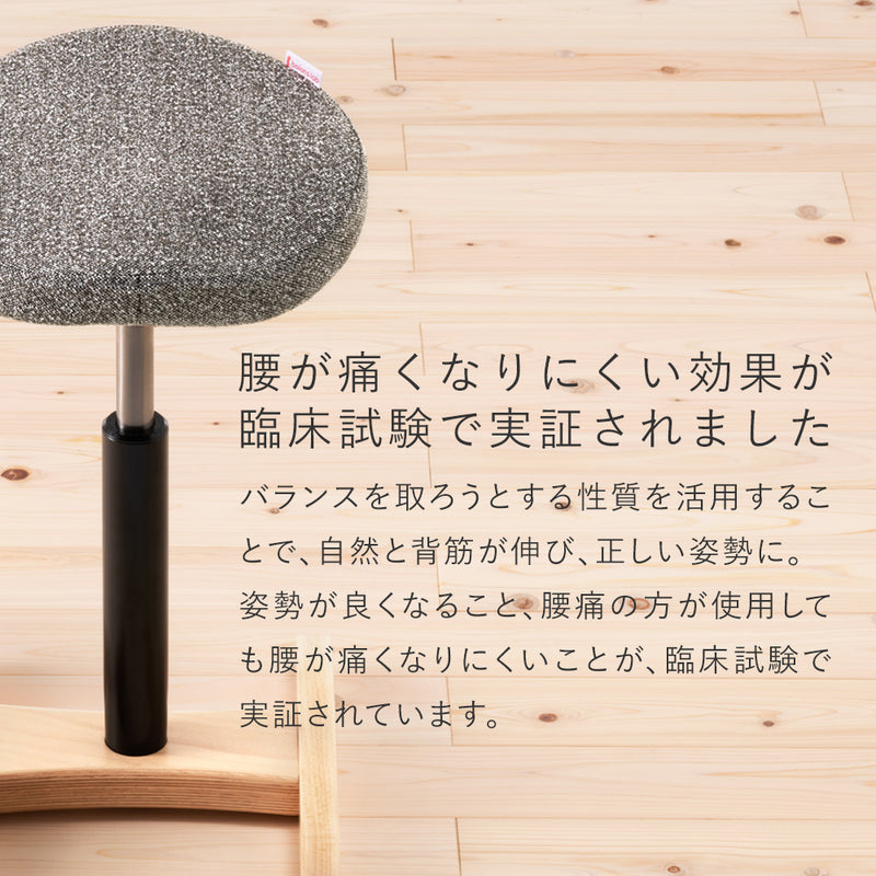 腰痛対策椅子｜バランス シナジー バランスラボ – バランスチェアの