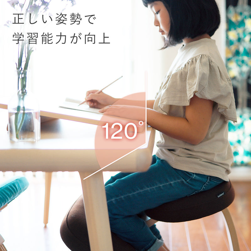 バランスイージー 通常フレーム バランスチェア イージー Amazon.co.jp