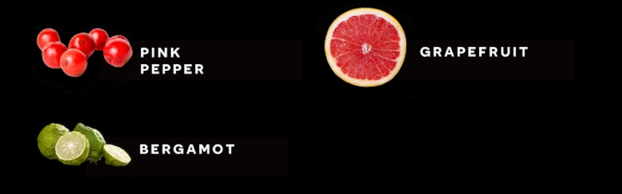 GENTLE｜ブーディカ ザ ヴィクトリアス オードパルファン ジェントル