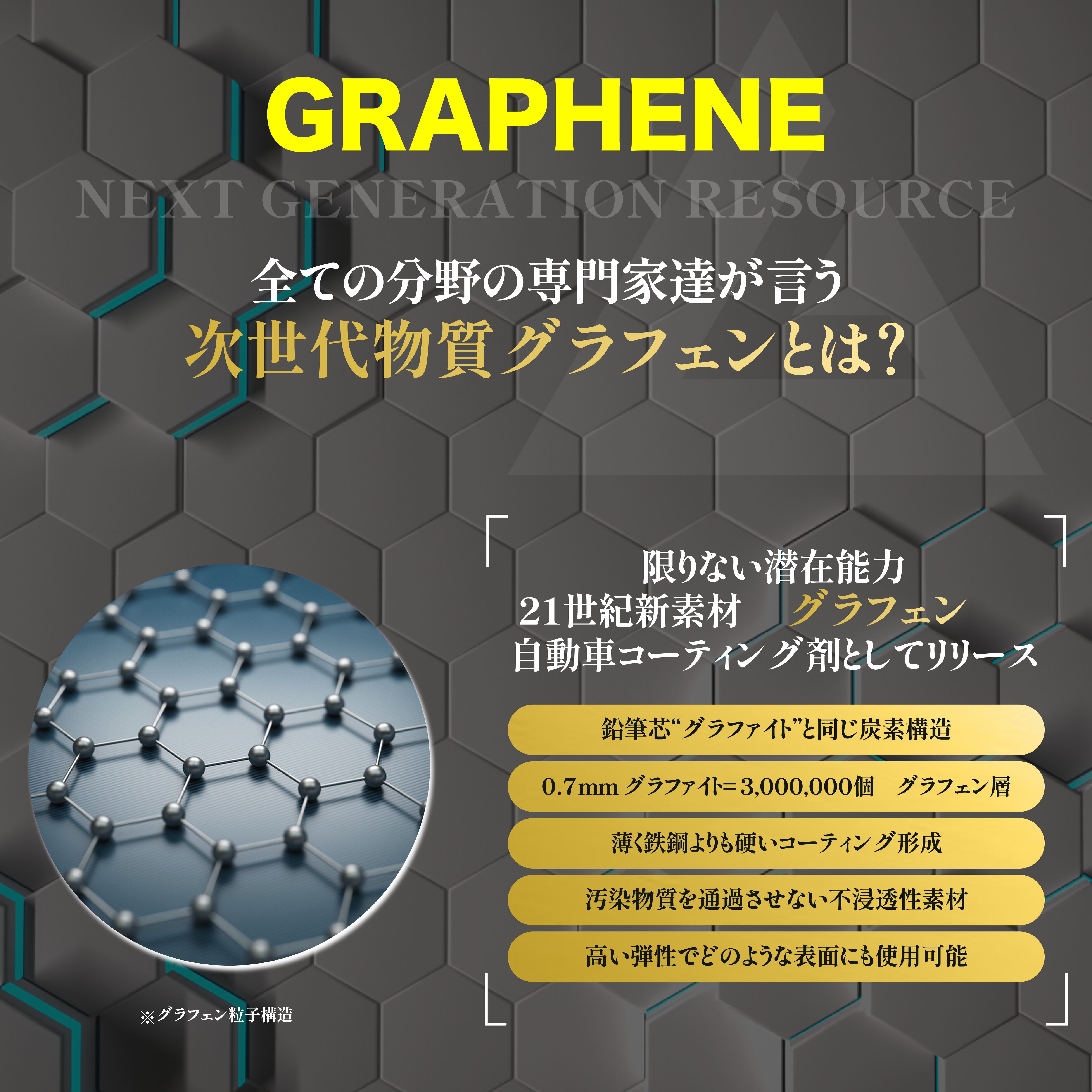 LM GRAPHENE SP PRO LMグラフェン SPプロ 250ml 硬化型グラフェン