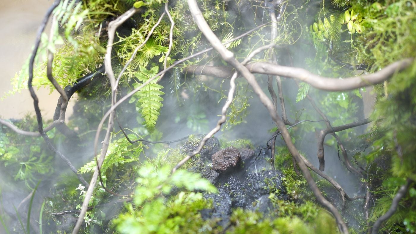 超音波ミスト発生器【霧の表現に／アクアテラリウム】 | 苔テラリウム