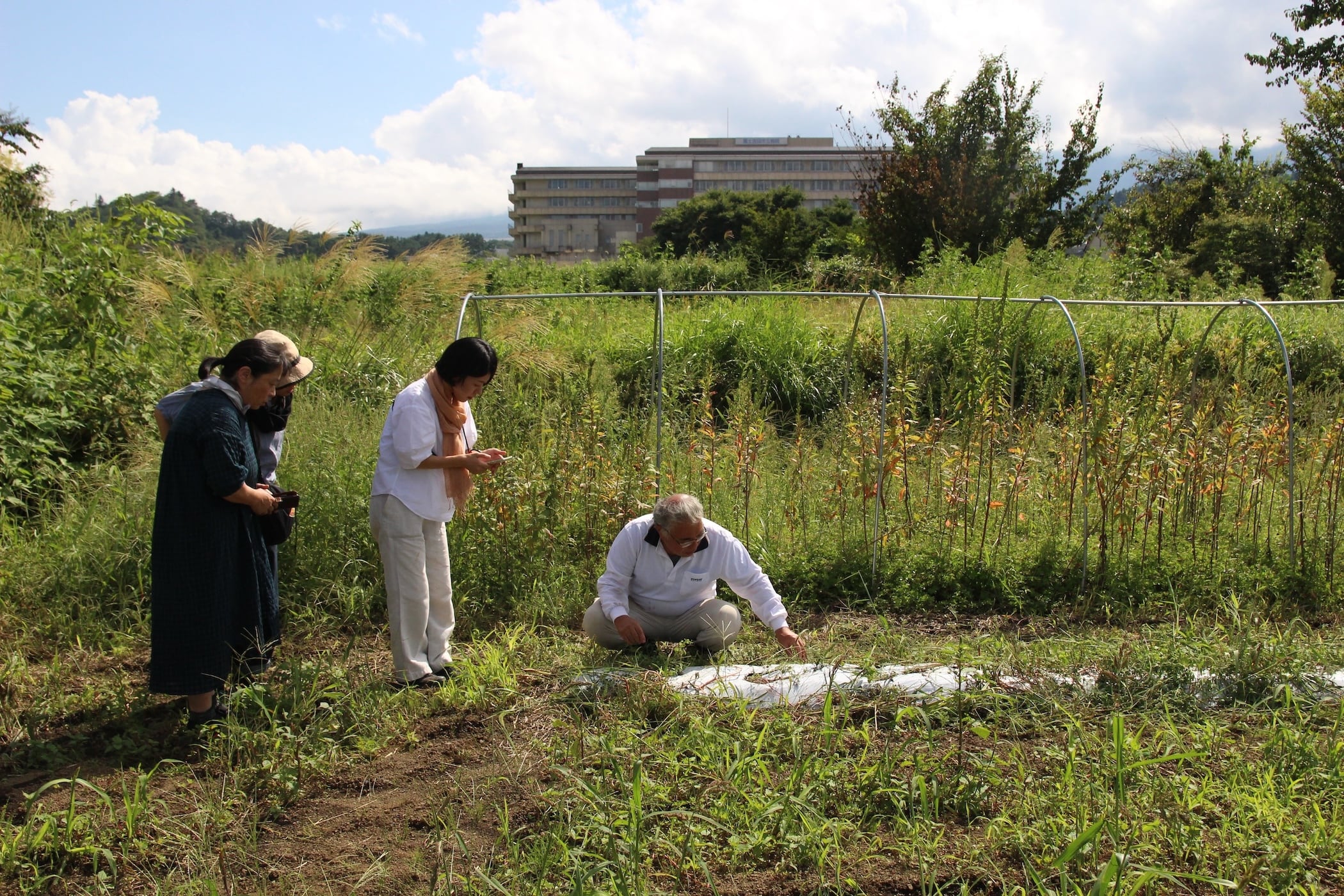 富士山の麓で日本茜を育てよう｜年間パスポート｜大人 | 装いの庭