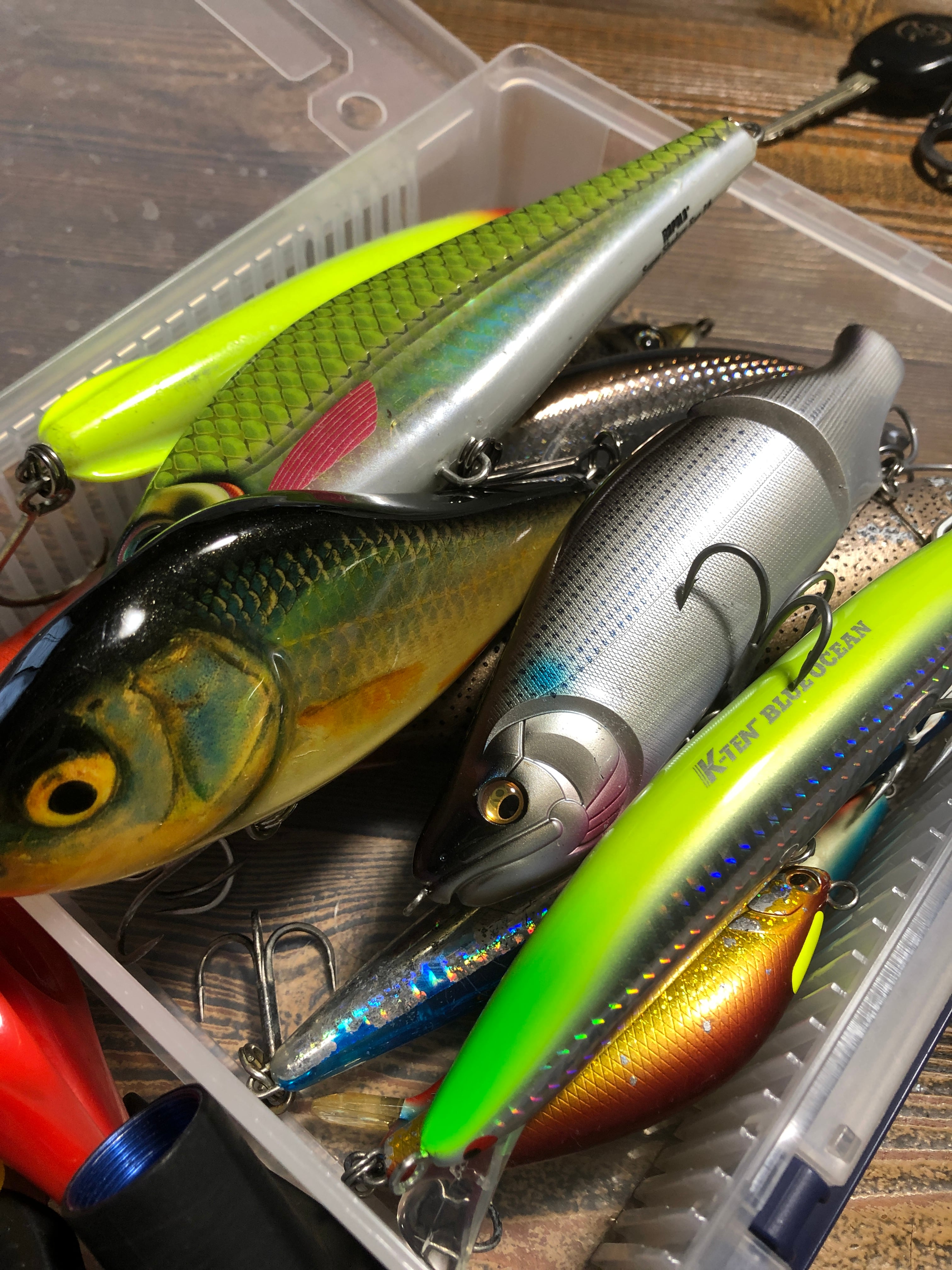 ビックベイト シーバス開幕しとるぜよ | Monster BASE