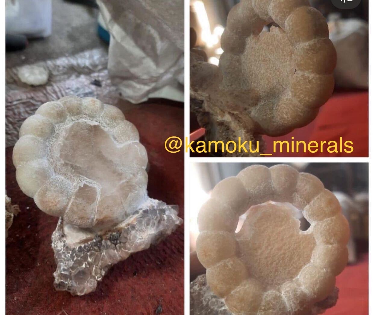 まさに珍奇、通称ポンデリングフローライトの正体 | Kamoku［カモク