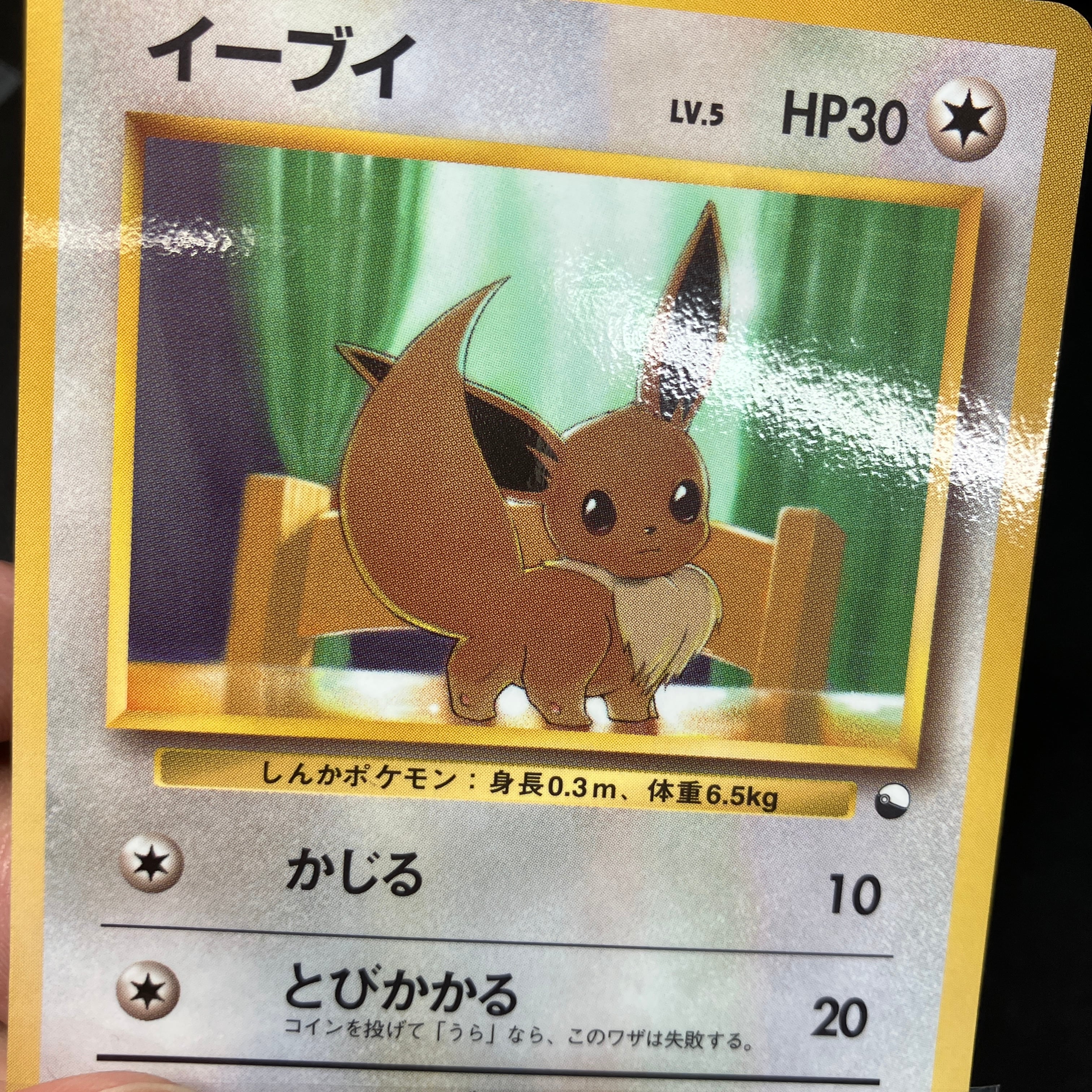 ポケモン】旧裏『拡張シート』って何？ | レトロカード専門店