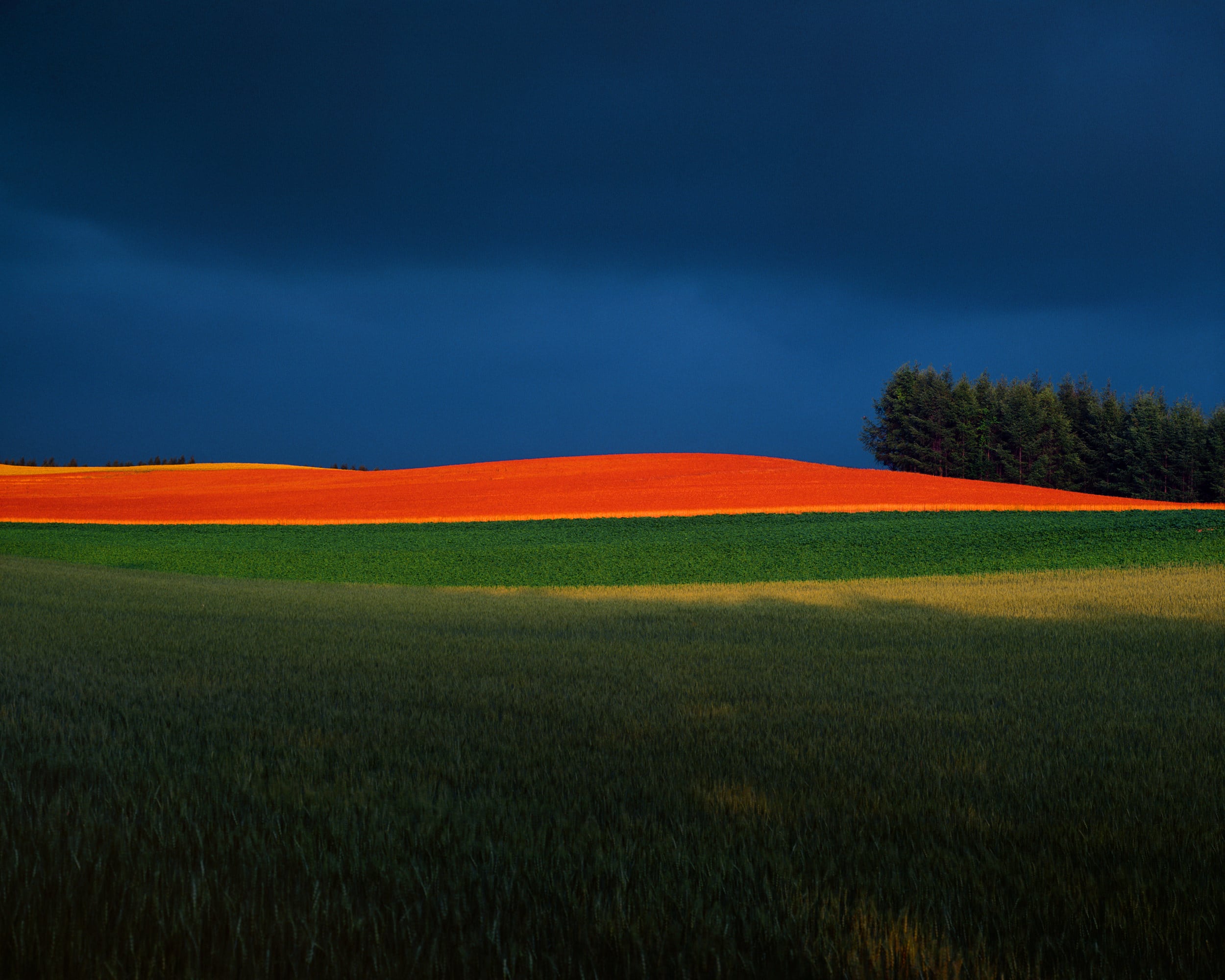 HILLS OF DISTANCE 1971–2021 | 拓真館 TAKUSHINKAN