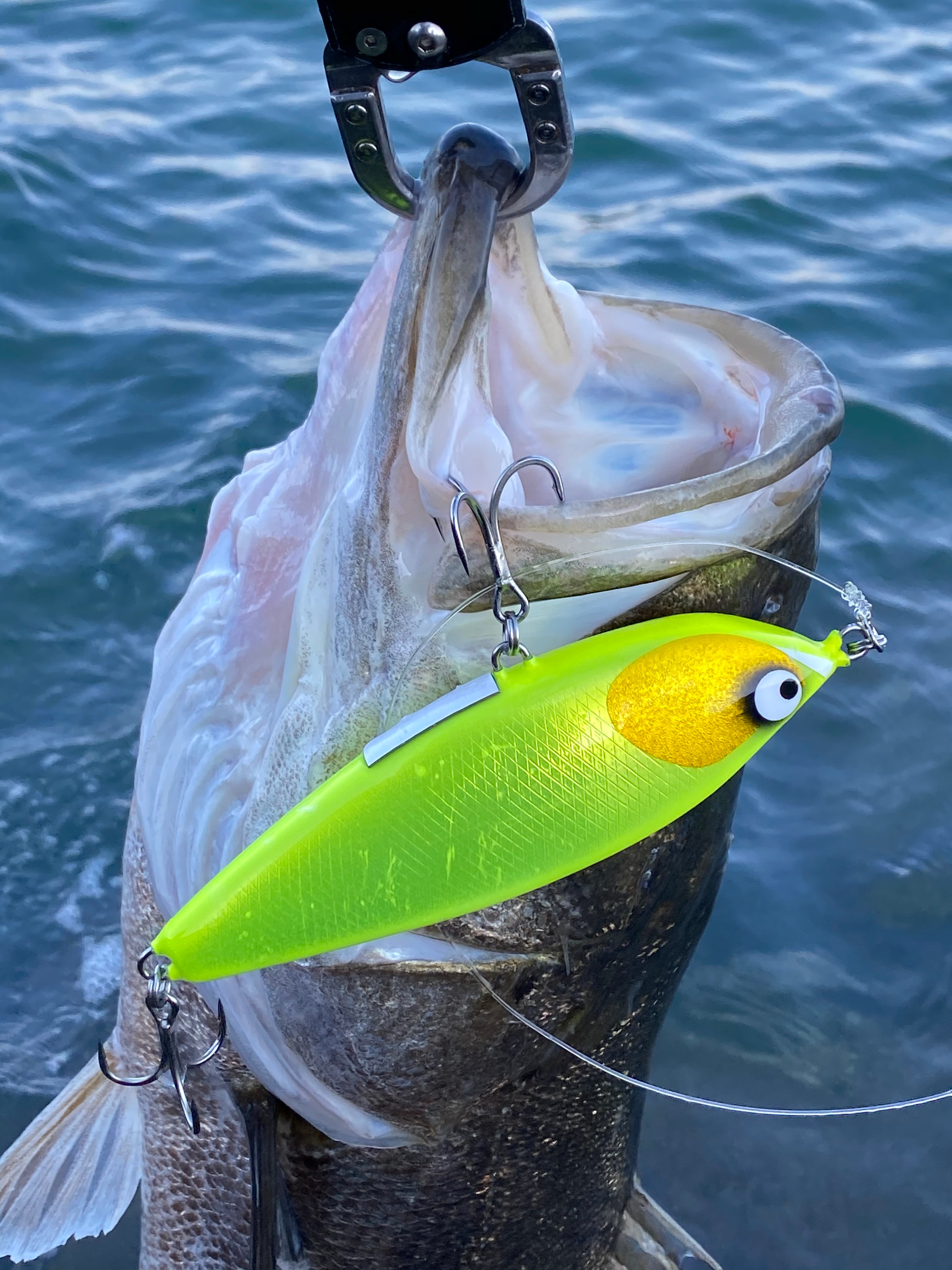 デカスプーナーのウエイトチューン解説 | BariCraft バリクラフト