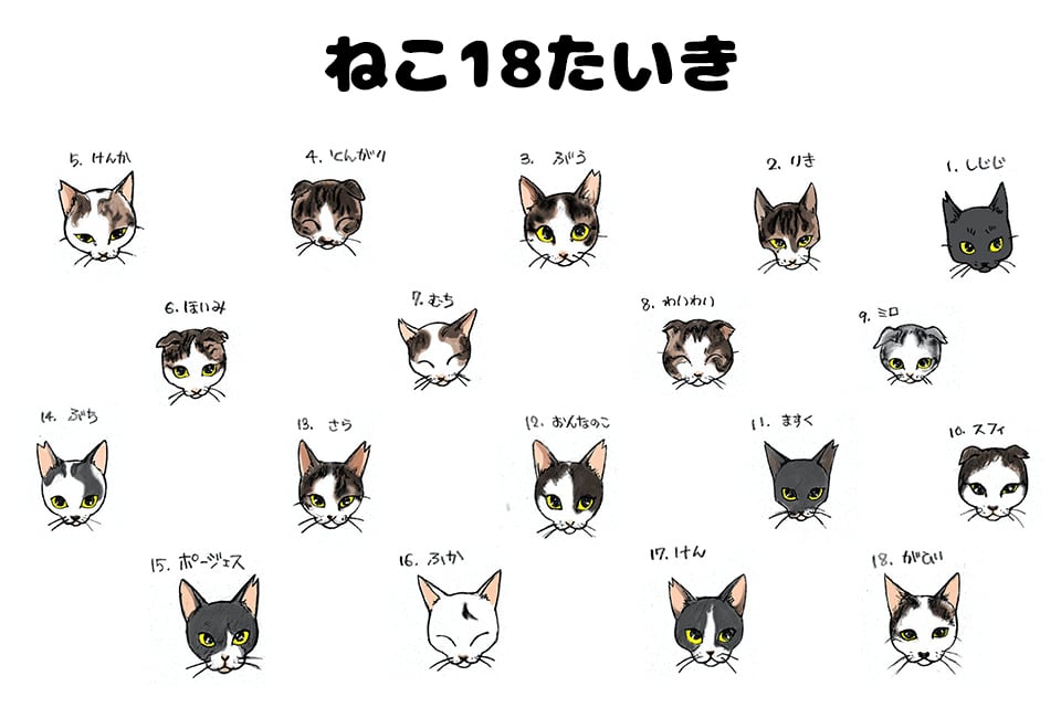 ご協力お願いします | ねこ18たいき