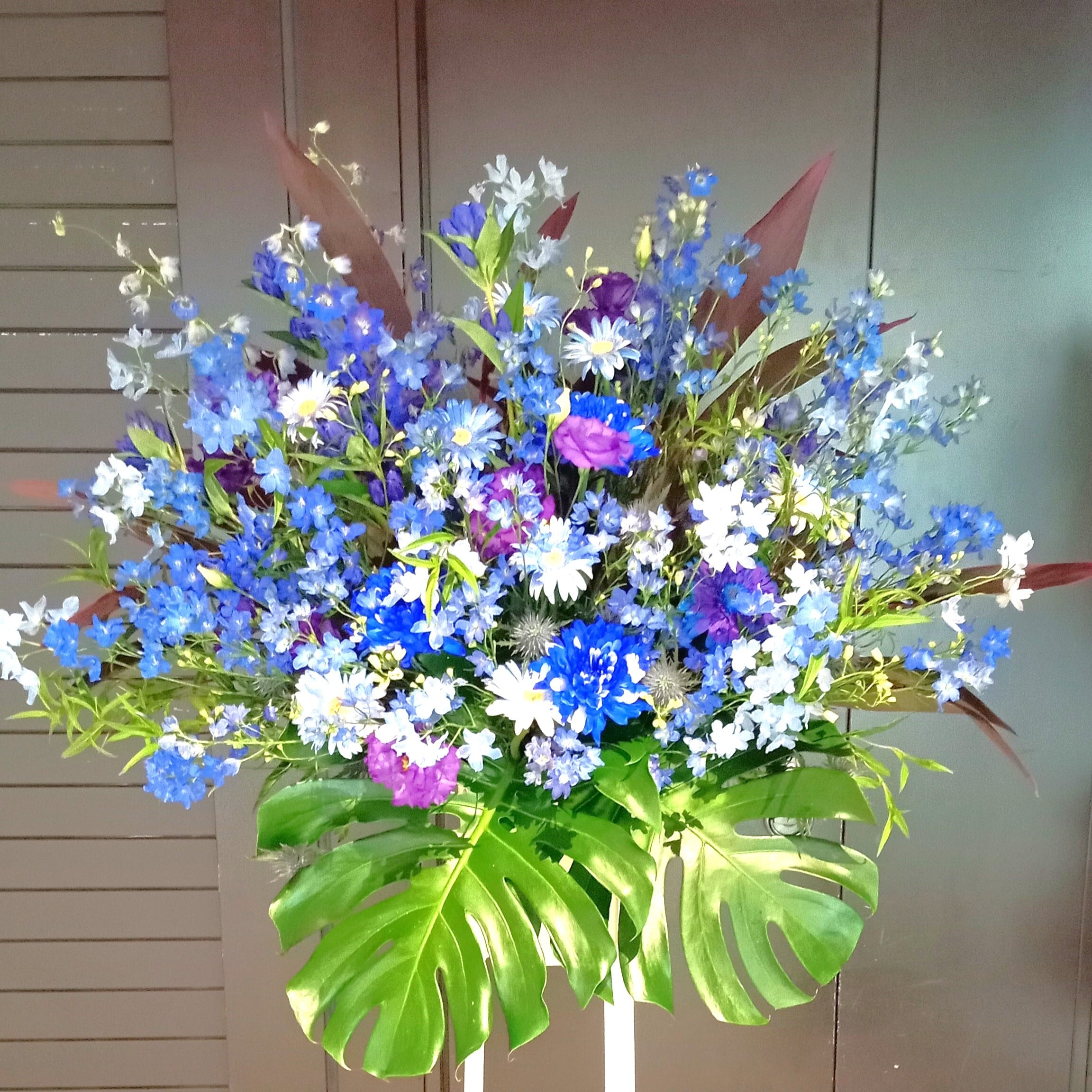 4033fad23e5c14512d1b59a29f3a00