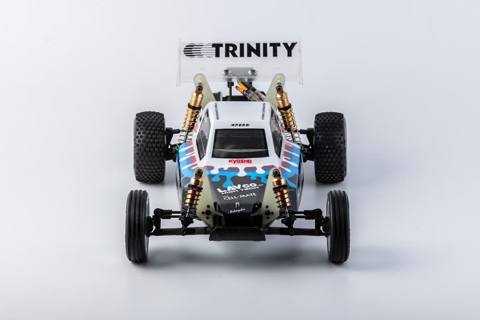 マカリスタXパインビーチ クラシックバギーボディ ワイルドキャット2