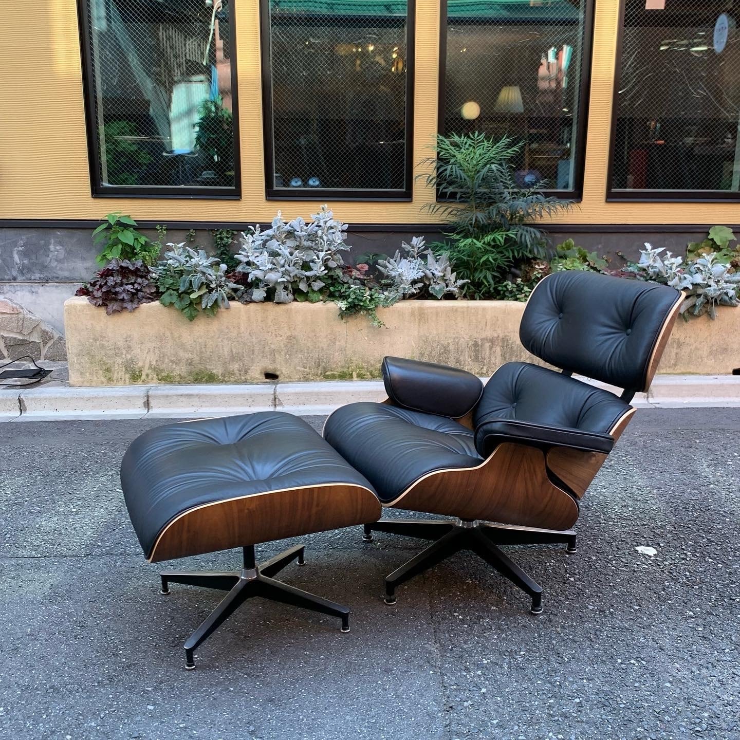 リプロダクト イームズ ラウンジチェア&オットマン | トリノス