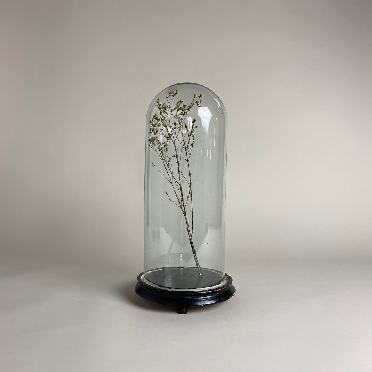 French Glass Dome / フレンチ ガラス ドーム ＜ディスプレイ・店舗